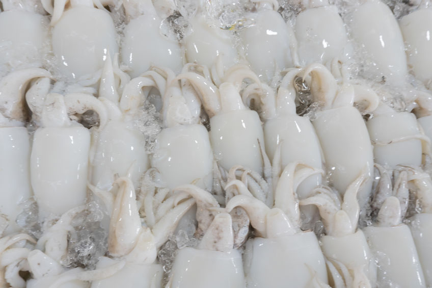 Cuttlefish Cleaned Block Frozen